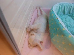 DSCN1531