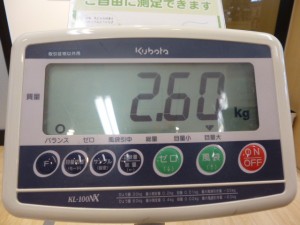 P1010333