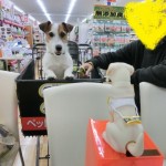 かん太くん1