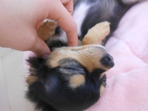 画像。, 013