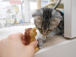 画像。, 060