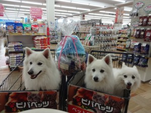 ボンちゃん チャレンジカップ3位(2)