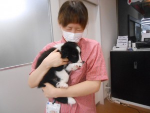 オススメ犬 016