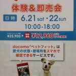 CIMG8998