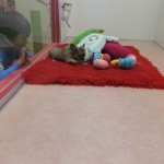 DSCF6722