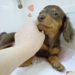 DSCN0001