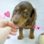 DSCN0006