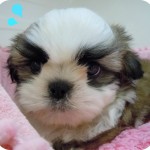 DSCN0029