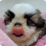 DSCN0035