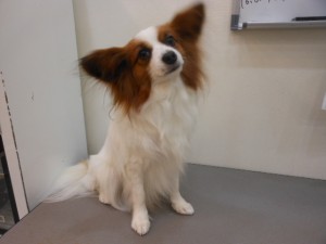 DSCN9157
