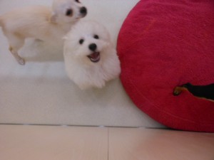 DSCN9286