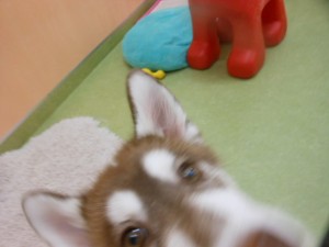 DSCN9709