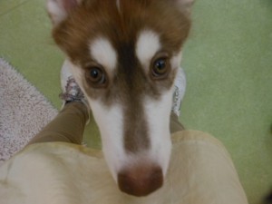 DSCN9712