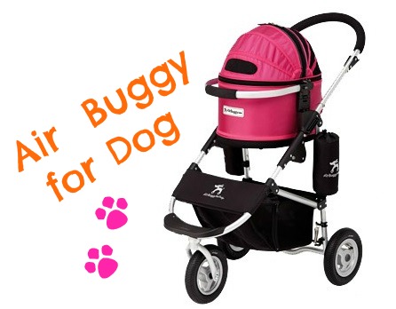 buggy