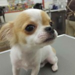 カーリン (2)