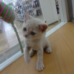 DSC04006