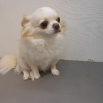 DSCN0035