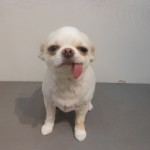DSCN0052