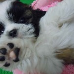 DSCN0137