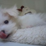 DSCN0210