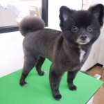DSCN0312