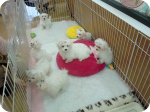 DSCN0319