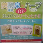 DSCN0332