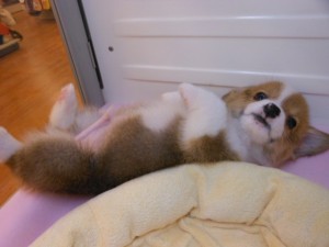 DSCN9973