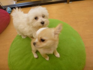 P1020503