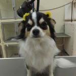 こた2 (1)