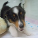 DSCN0030