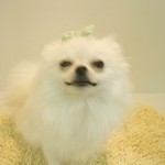 DSCN0546