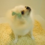 DSCN0547
