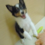 DSCN0635