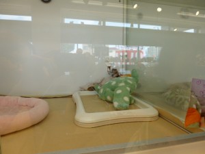P1030630
