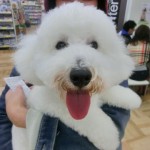 CIMG0029
