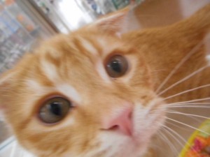 DSCN3379