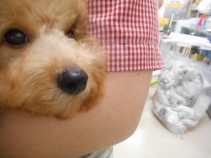 DSCN3559