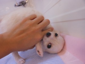 DSCN8874
