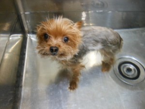 DSCN9672