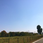 IMG_0147