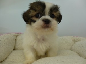 P1050447