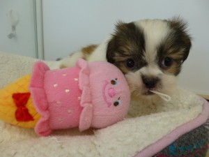 P1050452