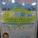 CIMG9946