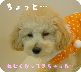 DSCN2336