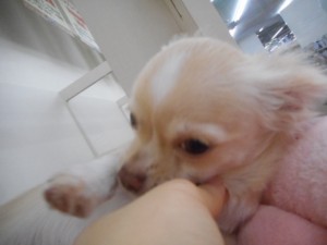 DSCN4564