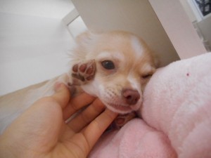 DSCN4565