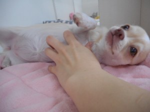 DSCN4570