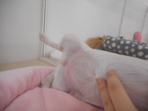 DSCN4571