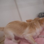 DSCN4574